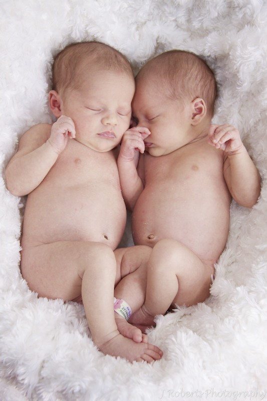 snuggling newborn twins - baby portrait photography sydney